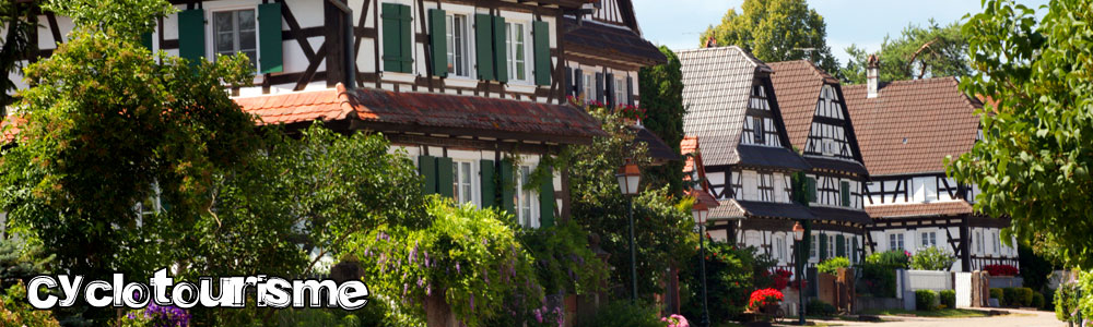 Alsace à vélo : cyclotourisme