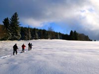 Balade en raquette à neige et déjeuner sous la yourte